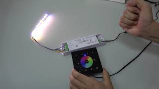 LED CONNEX 2820 RGBW RF-Wandsteuerung 4 Zone W 