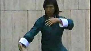 Master Ck Chu Yang Short Form