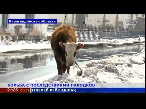 В Карагандинской области в зоне подтопления остаются 36 домов