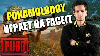 NAVI POKAMOLODOY БЕРЕТ ТОП-1 С ДРУЗЬЯМИ НА FACEIT PUBG