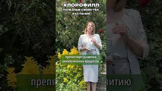 Польза жидкого хлорофилла  #здоровье #фитотерапия #полезно  #гарбузов #здоровоепитание #гемоглобин