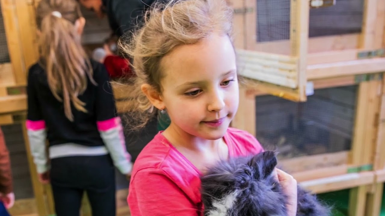 Jeden slunečný den v Gaudi