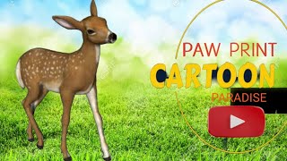ANIMALS KIDS LEARNING VIDEO