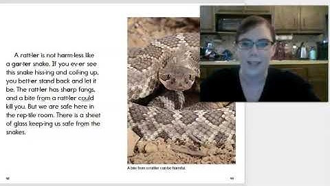 Skills Unit 4 Lesson 16 (grade 1)