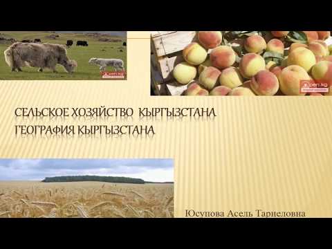 Урок географии от Юсуповой А.Т. "Сельское хозяйство КР"