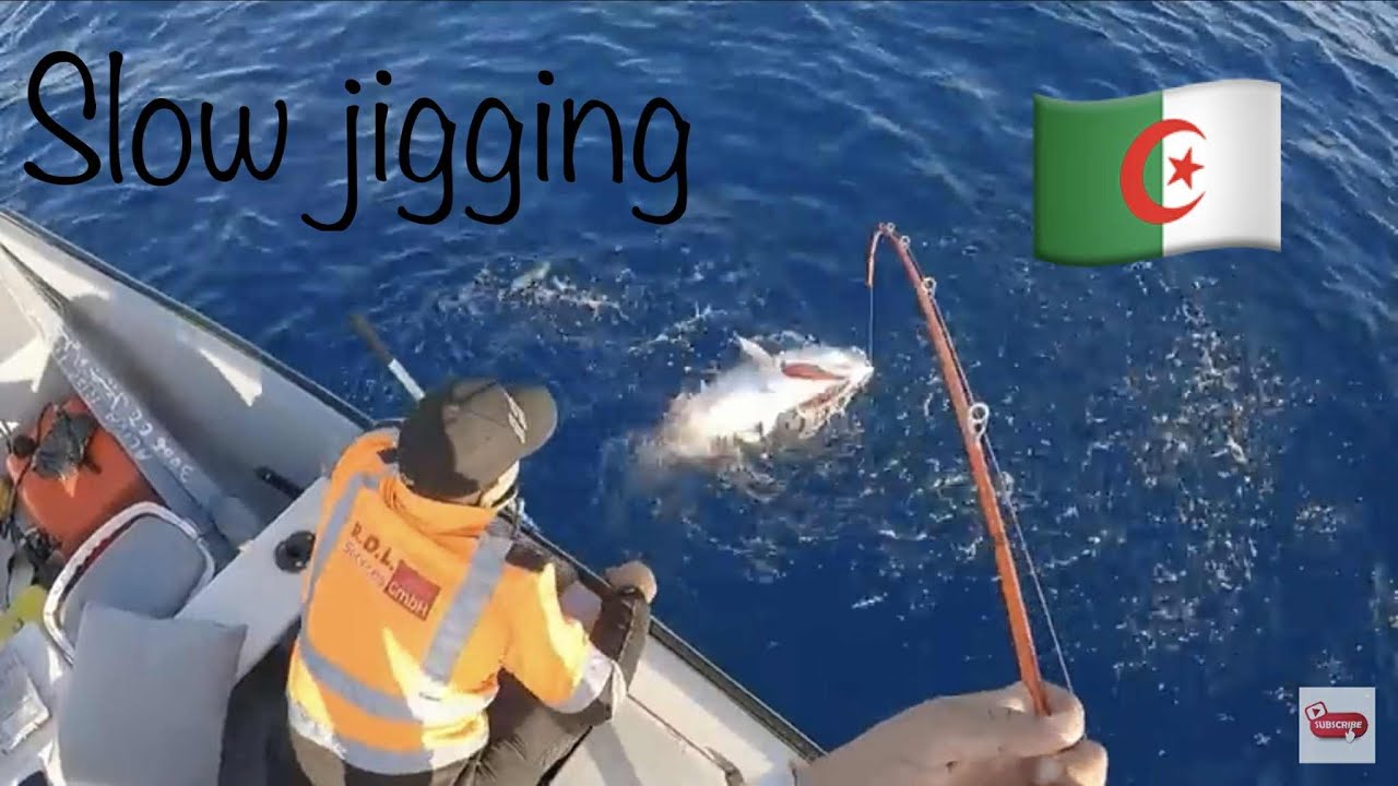 عيش معانا المتعة في الصيد من القارب جيجل   Belle sortie de pèche en bateau - jijel 20 octobre 2025  