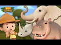 GIANT ANIMALS! 🐘🦏 Elephants, Hippopotamus and MORE! 🎊 | Leo the Wildlife Ranger | Kids Cartoons