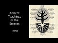 Ancient teachings of the essenes intro