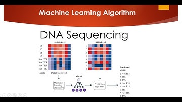DNA Sequencing Classifier using  Machine Learning