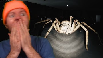 WARNING: IF YOU HAVE ARACHNOPHOBIA DON