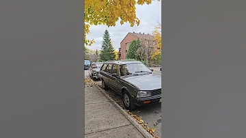 Peugeot Wagon 505 S Rare French Car 