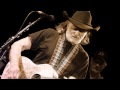 WILLIE NELSON - "Bird on a Wire"