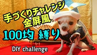 100均だけで作る金屏風 侍ポーズ Children's Day The Samurai dogs 可愛いチワワ