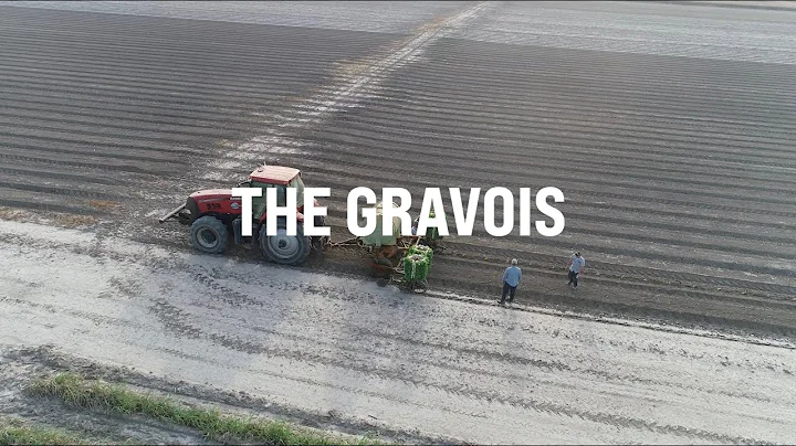 The Gravois