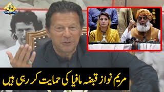 فضل الرحمان کو مولانا کہنا علماء کی توہین ہے، عمران خان کی ساہیوال میں صحافیوں سے گفتگو