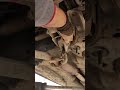 دجات الكير سيفيا