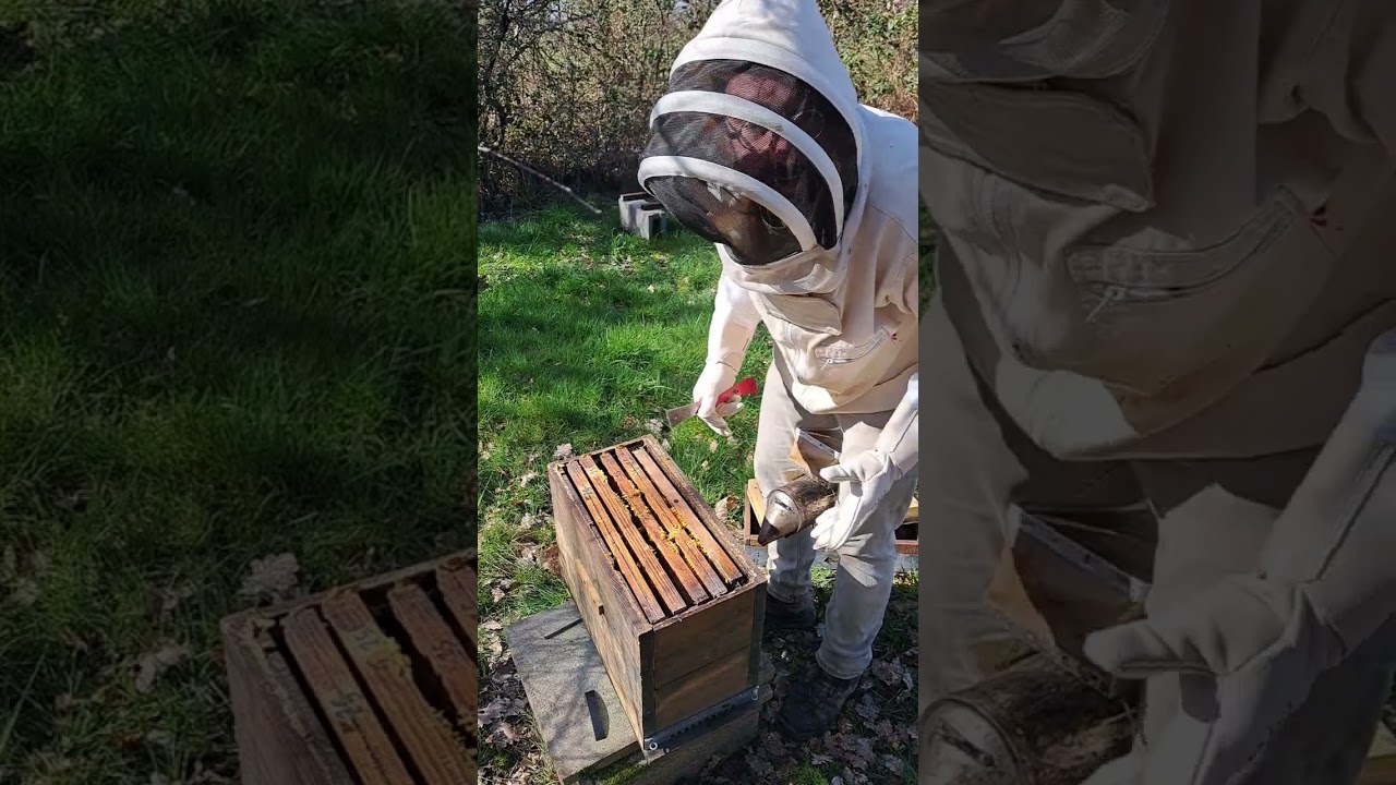 S1/E9 Visite de pré printemps et diagnostic