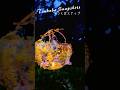 一の矢を彩るランタン Illuminating Ichinoya with Lanterns #筑波大学 #ランタン#universityoftsukuba #lantern