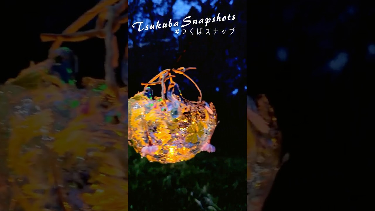 一の矢を彩るランタン Illuminating Ichinoya with Lanterns #筑波大学 #ランタン#universityoftsukuba #lantern