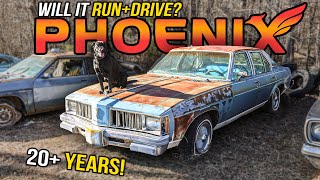 Player Profile FORGOTTEN 20+ YEARS! Pontiac Phoenix - Will It RUN and DRIVE?