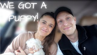 We Adopted A Dog In Sweden (Maltese Puppy!!)