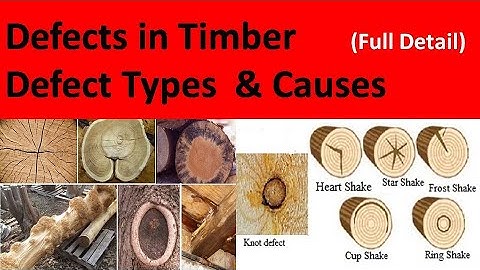 Defect in timber / Defect in wood / Types of Defect in timber / Defect in timber / Timber defect