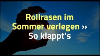 Rollrasen Im Sommer Verlegen So Klappts