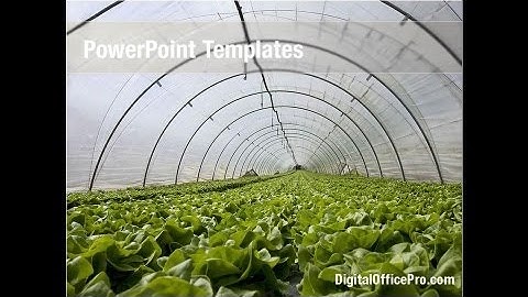 Green House PowerPoint Template Backgrounds - DigitalOfficePro #04215
