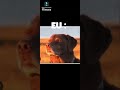 ¿¡NOVA ATUALIZAÇÃO!? @Shorts