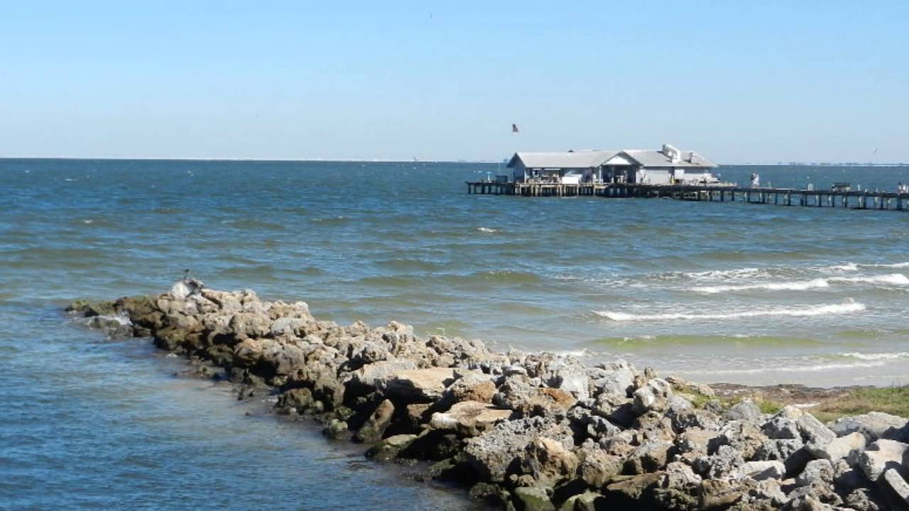 anna maria island segway tour