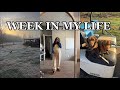 WEEK IN MY LIFE: vet school finals