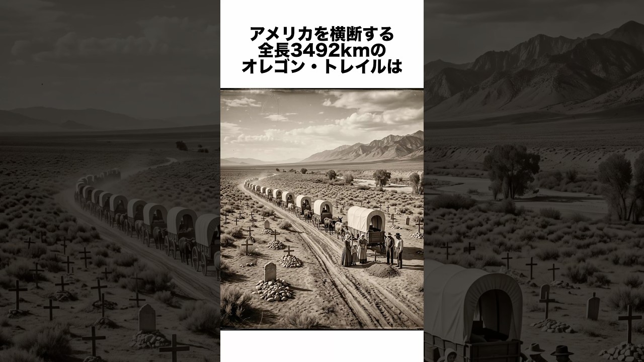 全長3492km全米最長の墓場 #歴史 #一分でわかる #history #プチ知識 #雑学