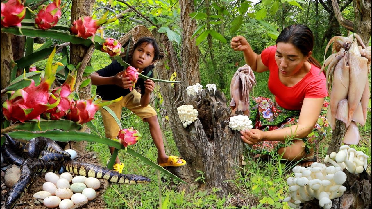 Pick up mushroom & dragon fruit / Roasted squid spicy with mushroom &Cooking egg tasty delicious