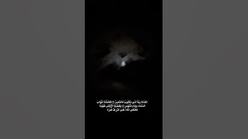 ﴿فَدَعَا رَبَّهُ أَنِّي مَغْلُوبٌ فَانتَصِرْ﴾#القرأن_الكريم #إسلام_صبحي #سورة_القمر #quran #اكسبلور