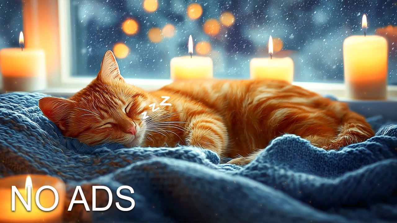 Успокаивающая музыка для кошек с тревогой 🐈🎵 Мягкая музыка для кош #музыкадлякошек #исцеляющаямузыка