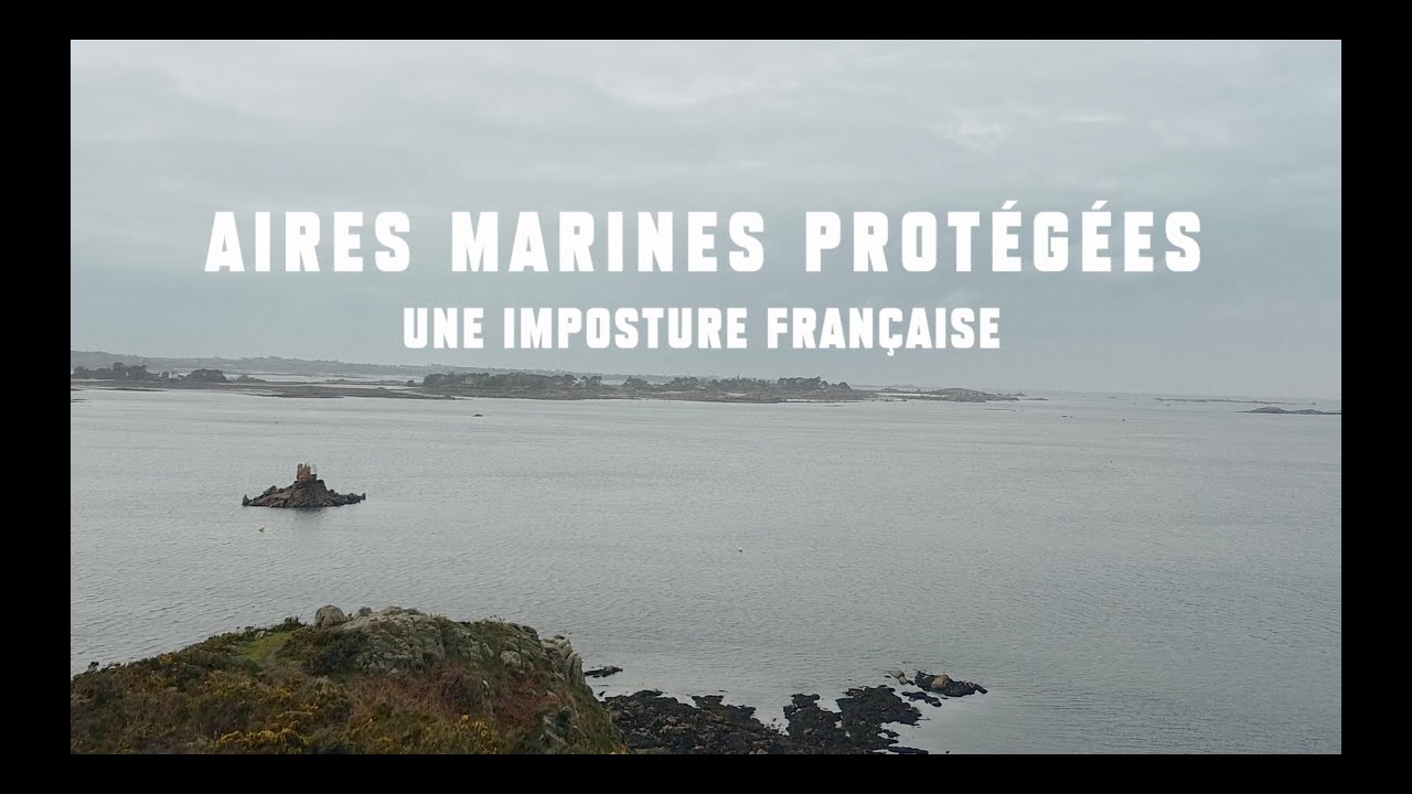 Aires Marines "Protégées" : une Imposture Française
