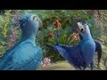 Rio 2 extrait du film la chanson de roberto m pokora