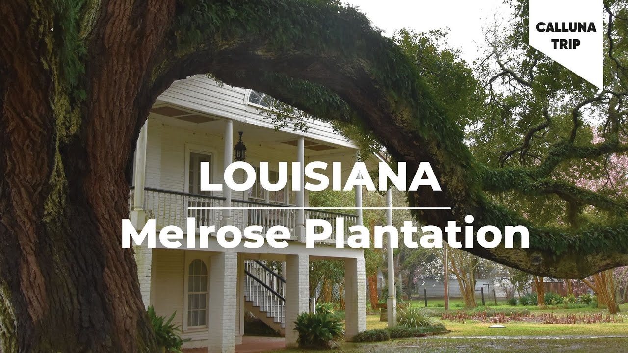 Melrose Plantation | Louisiana | Mississipi River | 