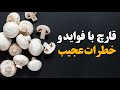 قارچ بافوایدی که در هیچ گیاه دیگری نیست