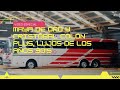 Autobuses Maya de Oro y Cristóbal Colón Plus, lujos de los 90's