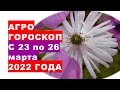 Агрогороскоп с 23 по 26 марта 2022 года