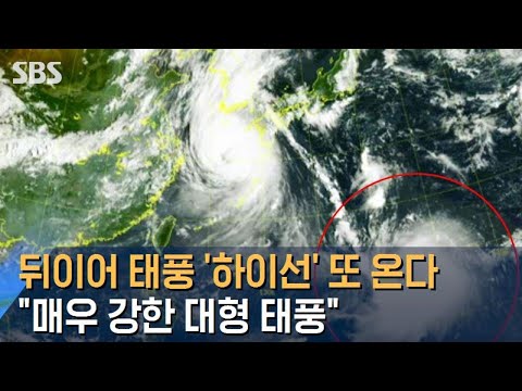 Typhoon Haishen Follows: Another One on the Way… “Very Strong, Large Typhoon” / SBS