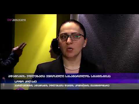 ადამიანის უფლებათა ეროვნული სასამართლოს სტატისტიკა