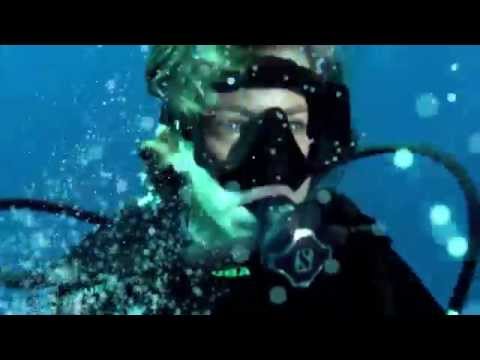 Documentaire: Requins blancs | requins marteaux | Mexique Colombie et Polynésie