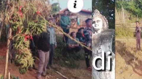 noj peb caug nkaum toj qaib yuav ua cas /21/12/2022/@gmail