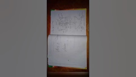 how to make zoology D practical notebook bsc part 2