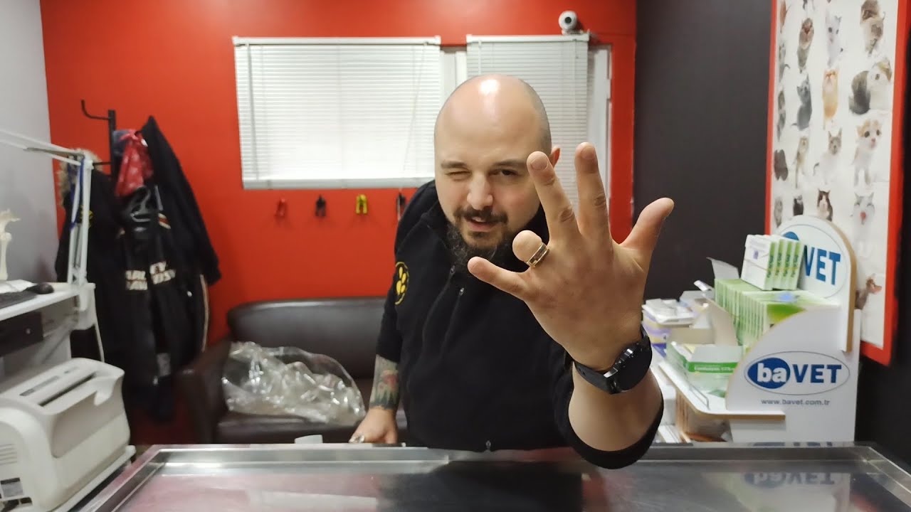 Köpeklerde Kalça Çıkığı!