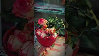 এই গানটা ভিডিও বানালাম 🥀🤗