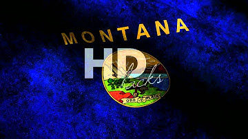 Montana State Flag