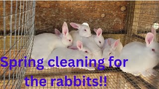 Spring cleaning at the RABBITRY!! by Deadwood Rabbitry 29 views 11 months ago 5 minutes, 24 seconds